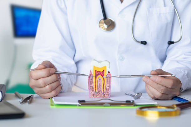 Best After-Hours Dental Trauma Care in Carterville, MO